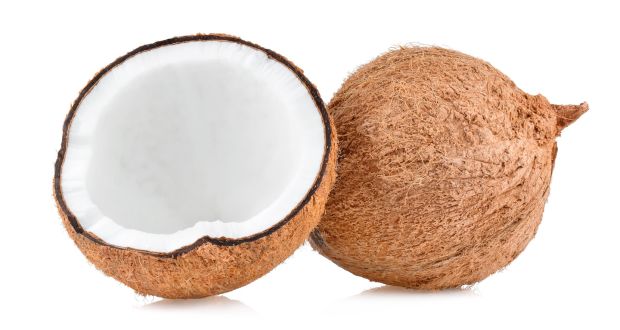 Coconuts increase WiFi signal